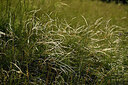 BUITEN BEELD Foto: 448860