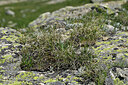 BUITEN BEELD Foto: 448864