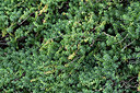 BUITEN BEELD Foto: 448865