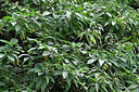BUITEN BEELD Foto: 448866