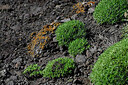 BUITEN BEELD Foto: 448867