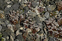 BUITEN BEELD Foto: 448871
