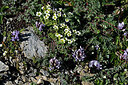 BUITEN BEELD Foto: 448873