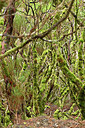 BUITEN BEELD Foto: 448875