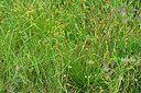 BUITEN BEELD Foto: 448878