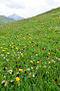 BUITEN BEELD Foto: 448880