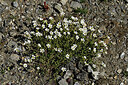 BUITEN BEELD Foto: 448886