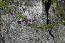 BUITEN BEELD Foto: 448892
