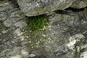 BUITEN BEELD Foto: 448893