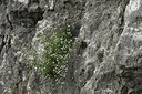 BUITEN BEELD Foto: 448894