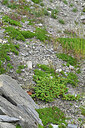 BUITEN BEELD Foto: 448895