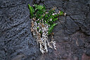 BUITEN BEELD Foto: 448896