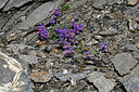 BUITEN BEELD Foto: 448897