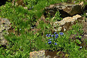 BUITEN BEELD Foto: 448898