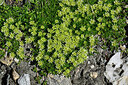 BUITEN BEELD Foto: 448901