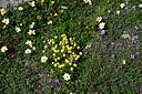 BUITEN BEELD Foto: 448904