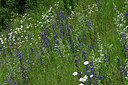BUITEN BEELD Foto: 448905