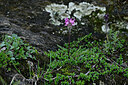 BUITEN BEELD Foto: 448910