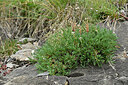 BUITEN BEELD Foto: 448914