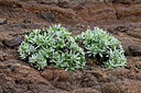 BUITEN BEELD Foto: 448916