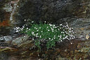 BUITEN BEELD Foto: 448918