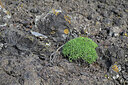 BUITEN BEELD Foto: 448923