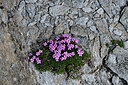 BUITEN BEELD Foto: 448928