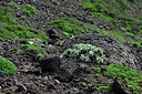BUITEN BEELD Foto: 448931