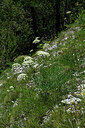 BUITEN BEELD Foto: 448933