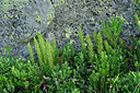 BUITEN BEELD Foto: 448935