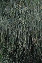 BUITEN BEELD Foto: 448936