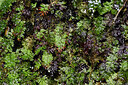BUITEN BEELD Foto: 448939