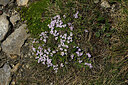 BUITEN BEELD Foto: 448942