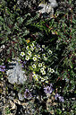 BUITEN BEELD Foto: 448943