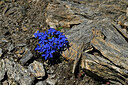 BUITEN BEELD Foto: 448946