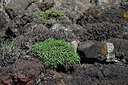 BUITEN BEELD Foto: 448948