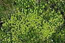 BUITEN BEELD Foto: 448949