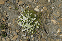 BUITEN BEELD Foto: 448952