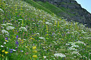 BUITEN BEELD Foto: 448957