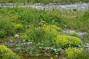 BUITEN BEELD Foto: 448959