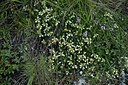BUITEN BEELD Foto: 448963