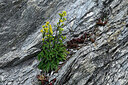 BUITEN BEELD Foto: 448965