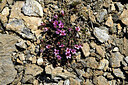 BUITEN BEELD Foto: 448967