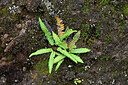 BUITEN BEELD Foto: 448969