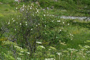 BUITEN BEELD Foto: 448972