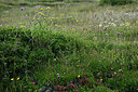 BUITEN BEELD Foto: 448973