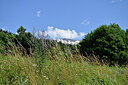 BUITEN BEELD Foto: 448982