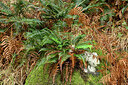 BUITEN BEELD Foto: 448983