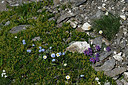 BUITEN BEELD Foto: 448985