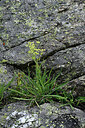 BUITEN BEELD Foto: 448986